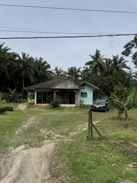 Tanah Rumah Huta Padang Bandar Pasir Mandoge Kab Asahan Jalan Lintas