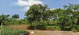 Lelang tanah 2 Ha, wado sumedang