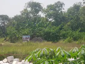 Dijual Tanah Untuk Usaha Nol Jalan Toll Gresik