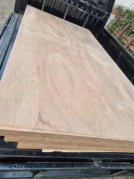 Plywood 28mm full kruing