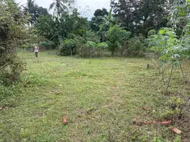 Tanah kaplingan