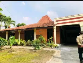 Rumah+kosan murah di bawah NJOP di Cibubur Ciracas Jakarta timur