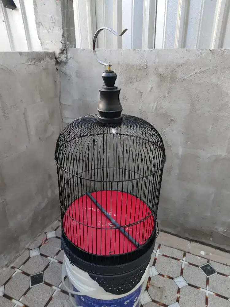 Sangkar love bird ukuran 33