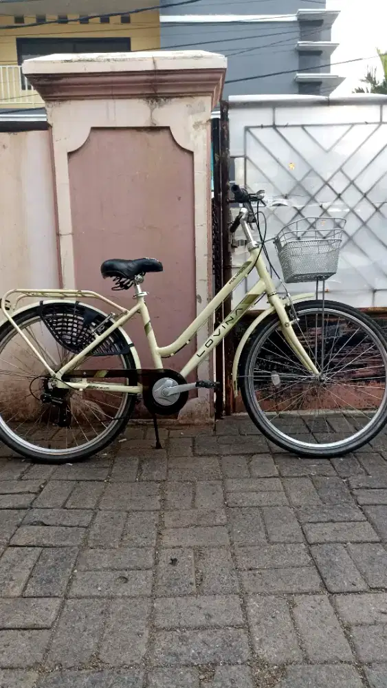 Citybike polygon Lovina