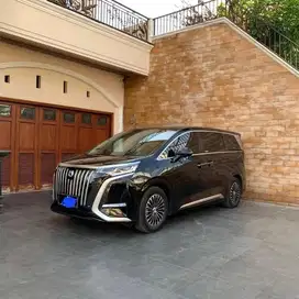 DENZA D9 EV 2025 Hitam