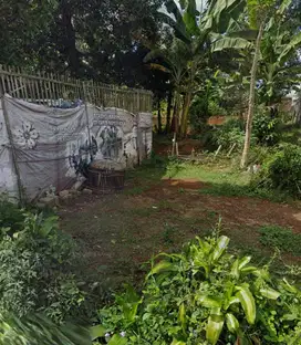 di jual tanah daerah palasari Cipadung