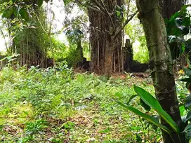 DIJUAL TANAH  KAVLING SIAP BANGUN DI SAWANGAN DEPOK