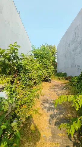 Murah Tanah Mojo Dekat DharmaHusada Hanya 9 Jt Per Meter