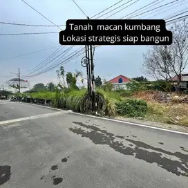 DIJUAL TANAH JL MACAN KUMBANG DEMANG
