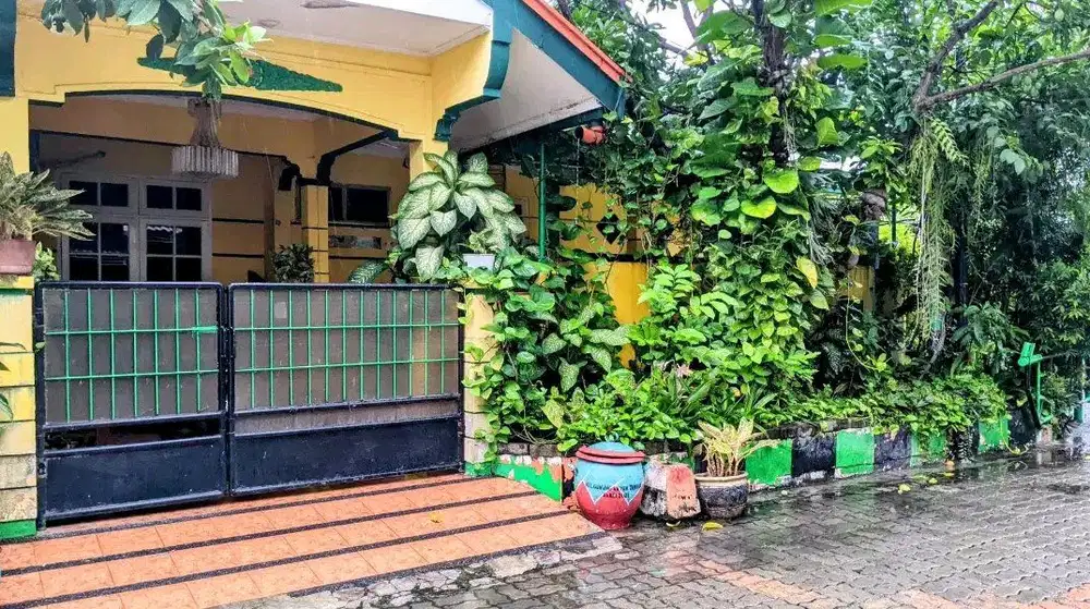 DIJUAL RUMAH WIGUNA TIMUR SURABAYA RON.A534