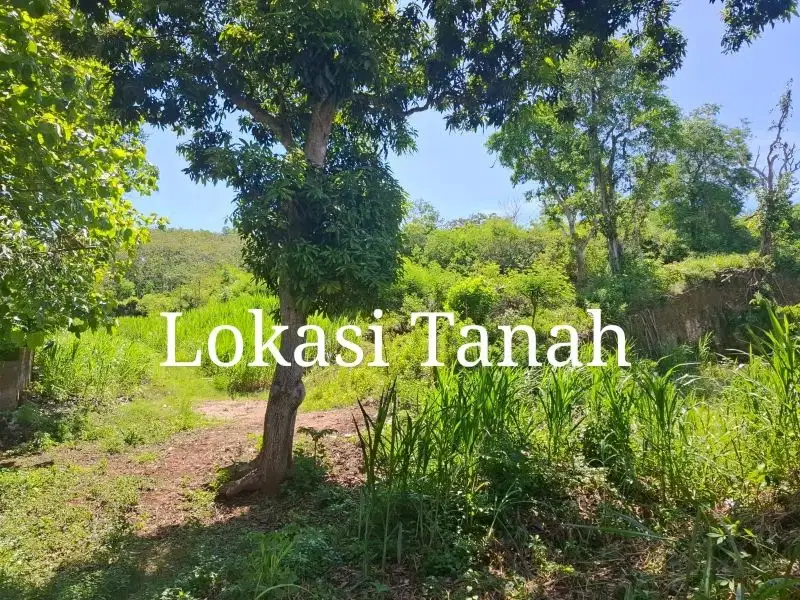 Tanah 47 Are, Jimbaran bawah dekat Rs. Bali Jimbaran
