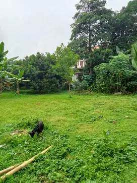 DIJUAL TANAH WILAYAH KOTA SERANG SUDAH SHM