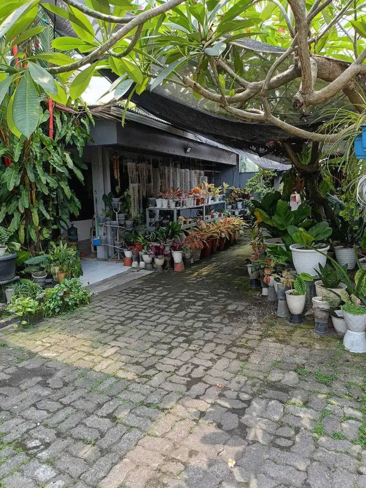 Dijual Cepat Rumah Hook Cocok Tempat Usaha Di Bintaro Jakarta Selatan