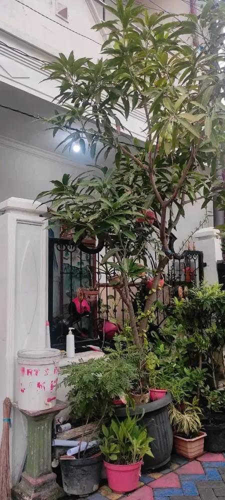 DIJUAL RUMAH JOJORAN BARU GUBENG SURABAYA RON.A346