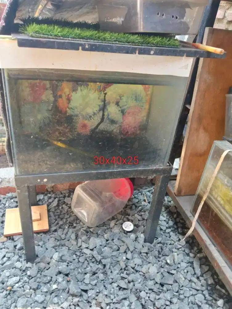 Akuarium+ rak + anak cana