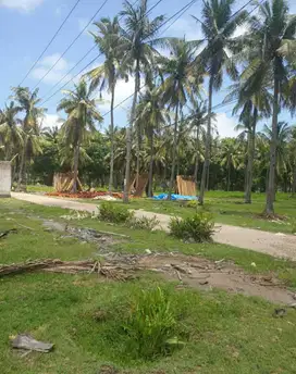 Tanah cocok untuk villa di Gili Trawangan