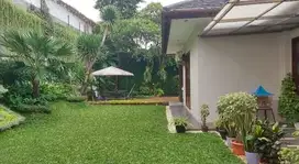 Rumah murah kemang