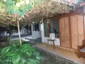 Dijual rumah keluarga nan asri Brontokusuman Yogya -7131DR-