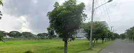 COCOK u/ PAdel! Disewakan tanah kavling pakuwon city