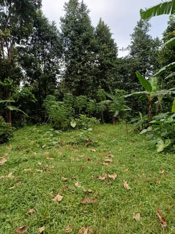 Dijual Tanah Jl. Intan Kalisidi, UNGARAN BARAT
