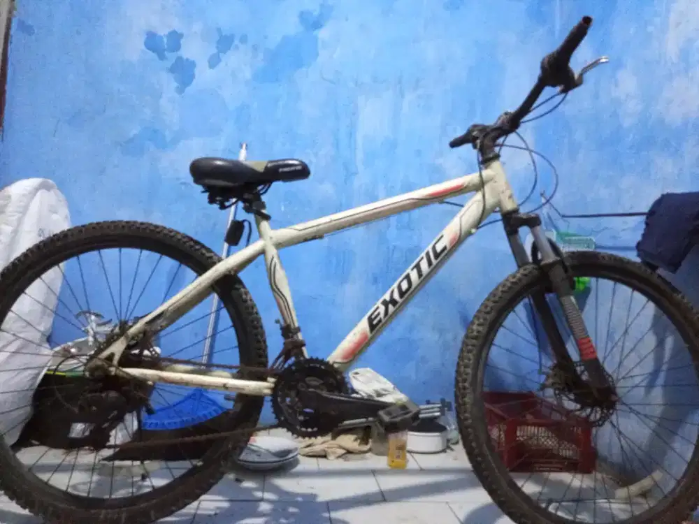 Sepeda MTB exotic simano alloy