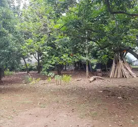 Dijual Cepat Tanah Cirendeu Tangerang Selatan