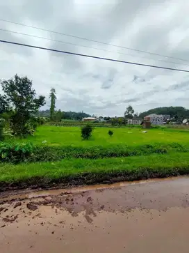 Dijual tanah sangat dekat dgn paralayang. cocok utk cafe/resto
