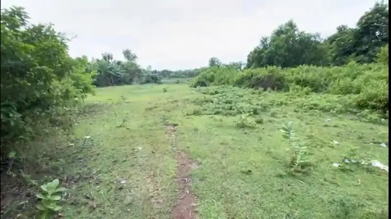 Tanah Pengambengan Pinggir Jalan Utama Kontur Rata