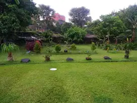 Jual Tanah harga NJOP Jl sekolah Kencana Pondok Indah Jaksel