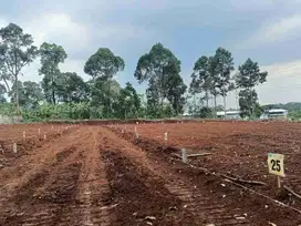 Dijual Tanah Kavling SHM Bisa Kredit 24 Bulan Tanpa Bunga