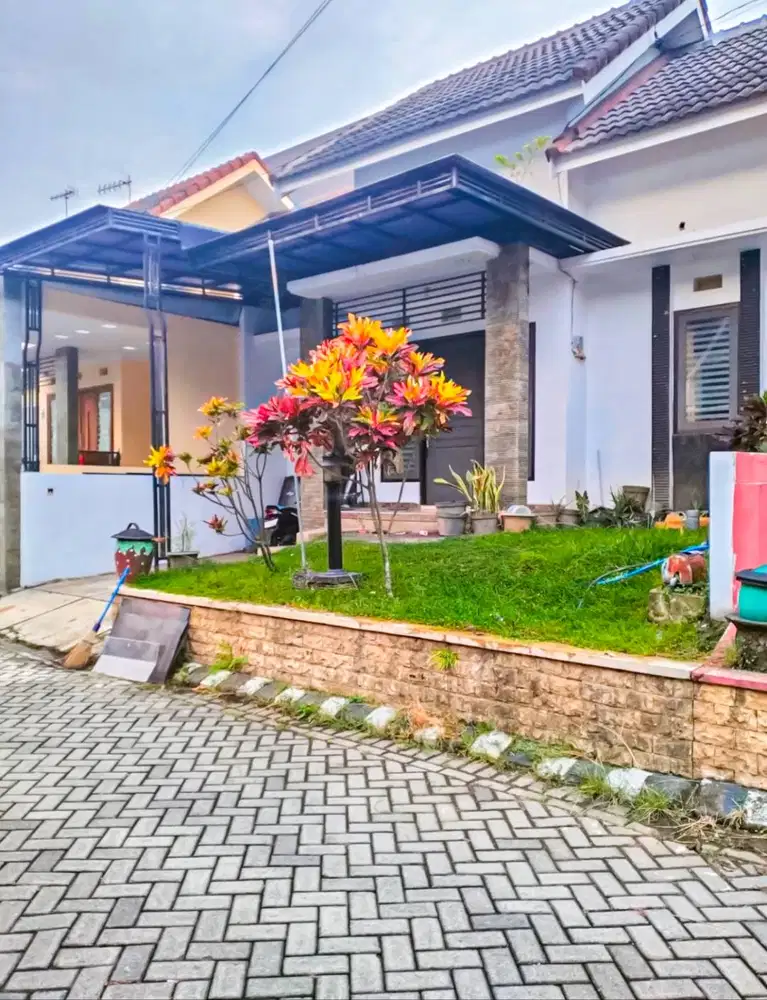 Rumah Kontrakan Malang Kota-Dekat Universitas Ternama & Pusat Bisnis.