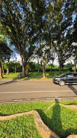 Posisi bagus banget Tanah BOULEVARD PALEM RAYA Lippo karawaci