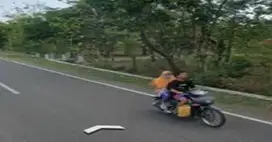 tanag industri dan pergudangan