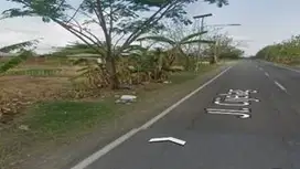 TANAH DISEWAKAN
