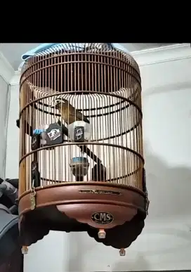 Wambi mh rawatan lama