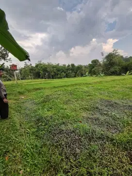 DIJUAL CEPAT HARGA DIBAWAH PASARAN TANAH DI SUKABUMI