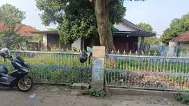Ranca kelapa curug
