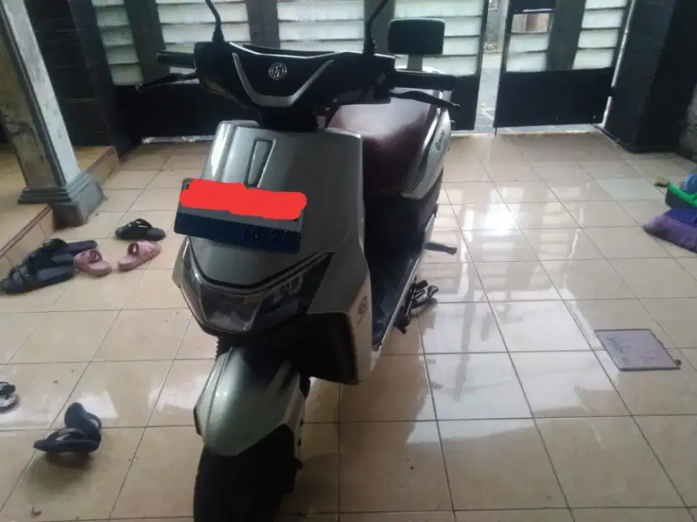 Motor Listrik Davigo Dragon s