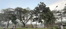 Tanah/Kavling 75000m2 Di Tigaraksa Tangerang, Banten
