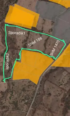 Tanah 7HA SHM Desa Loloan Lombok Utara Pinggir Jalan Besar 10jt/are