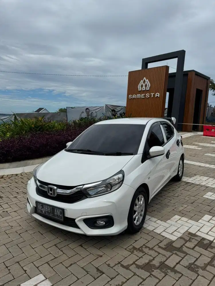 Brio e satya manual 2019