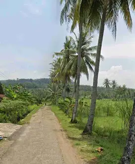TANAH DATAR DEKAT PANTAI TAMBAN KABUPATEN MALANAG