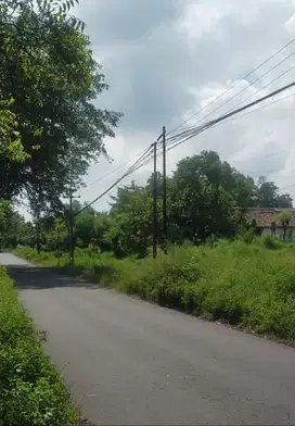 Dijual Tanah Lokasi Jalan Raya Rembang Pasuruan