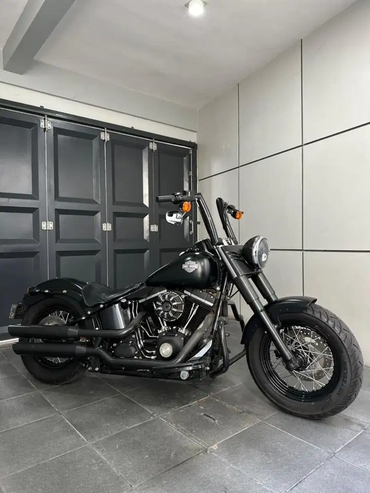 Harley Davidson Softail Slim 2017 Low Odo Like New