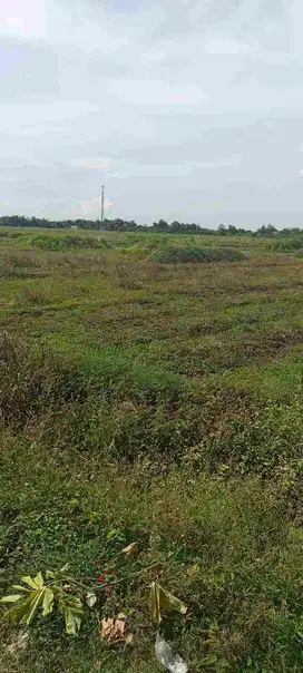 DIJUAL TANAH LOKASI WONOAYU