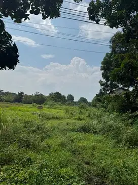 Tanah dijual di Pasuruan,Legok, Gempol jawa timur