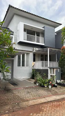 Disewakan Rumah Homie di Cluster Premium Kebayoran Bintaro Jaya