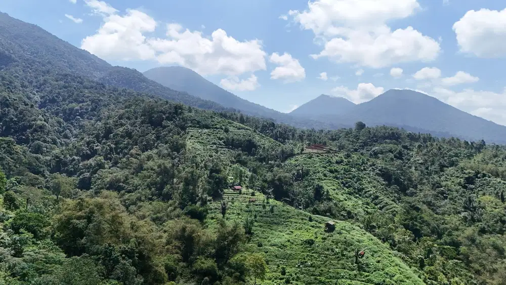 Jual tanah kebun isi mata air view cantik harga termurah di tabanan .