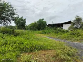 JUAL RUGI TERMURAH TANAH SIAP BANGUN LOKASI NOL JALAN Raya Kota TUBAN