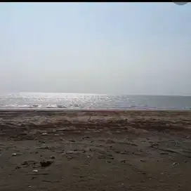 DIJUAL TANAH PREMIUM di pinggir pantai jalan di Tanjung Lesung